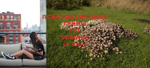 гашиш Богданович