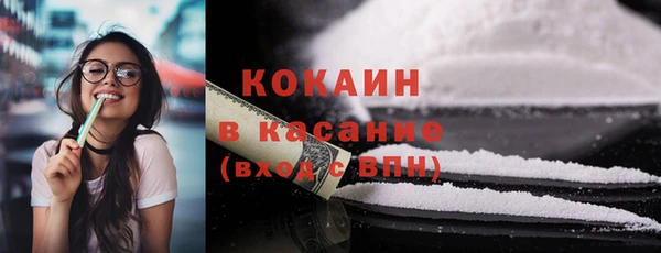 гашиш Богданович