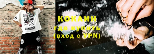 гашиш Богданович