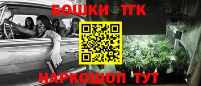 крисы Краснознаменск