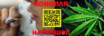 крисы Краснознаменск