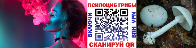 Галлюциногенные грибы ЛСД  Свободный 