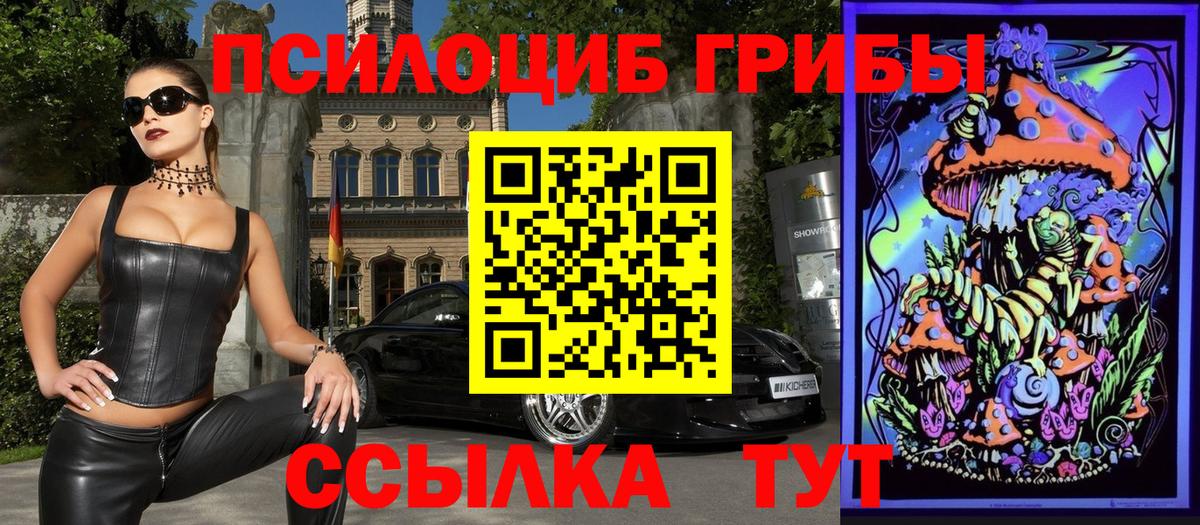 Галлюциногенные грибы GOLDEN TEACHER Свободный