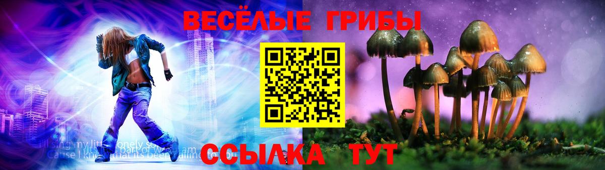 Галлюциногенные грибы мицелий  Вход с VPN  Свободный 