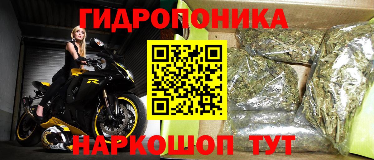 Каннабис ГИДРОПОН  МАРИХУАНА OG Kush  Свободный  Марихуана VHQ  Бошки Шишки конопля  Вход с VPN 